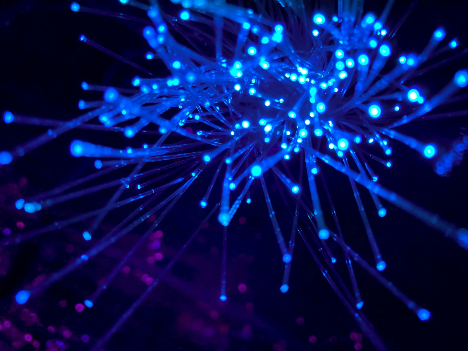 Fibre optique et téléphonie IP pour entreprise